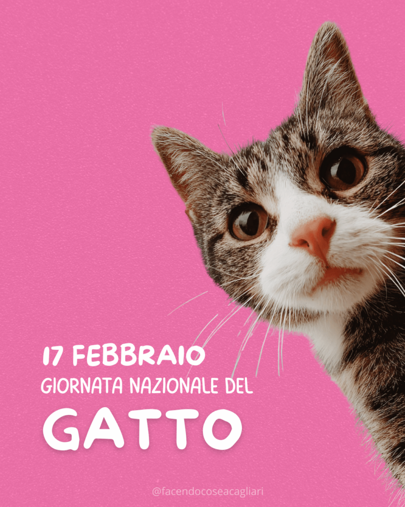 GIORNATA NAZIONALE DEL GATTO
